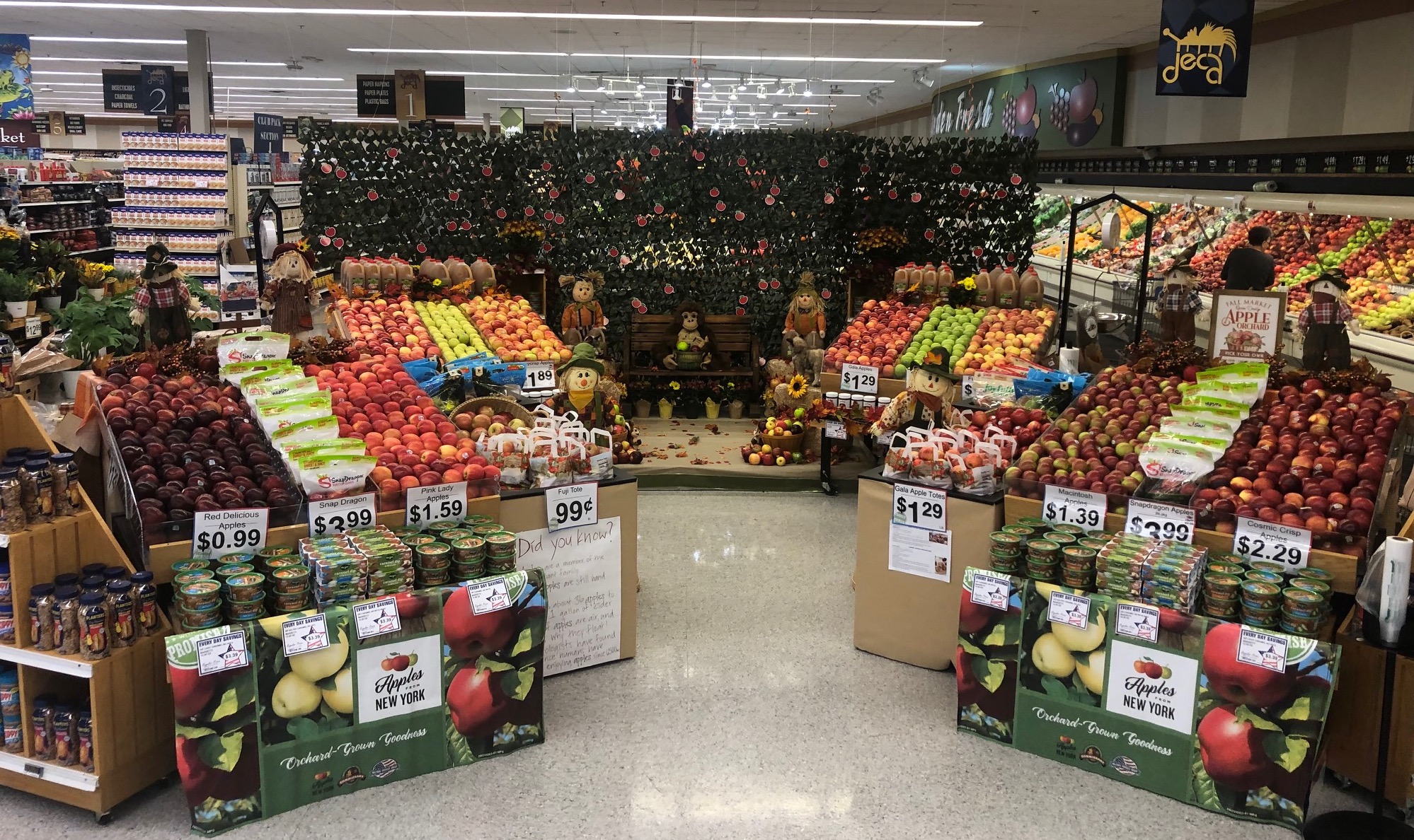 News Details PMG Directory